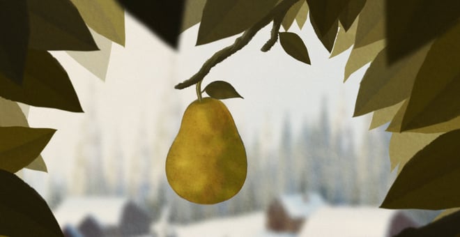 Pears_02