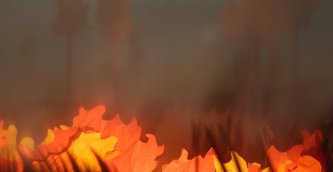 How_are_these_fires_burning_underground_2