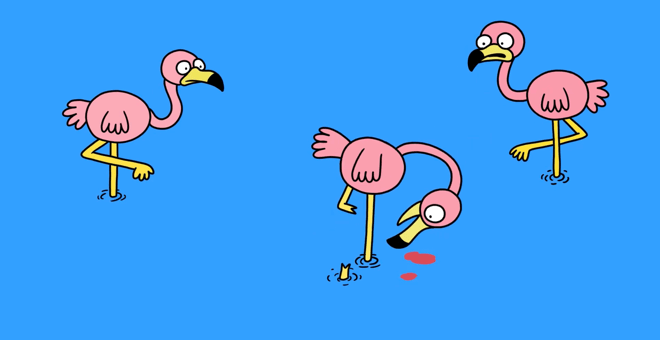 Birds_whose_legs_break_off2