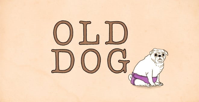 Old_dog_002