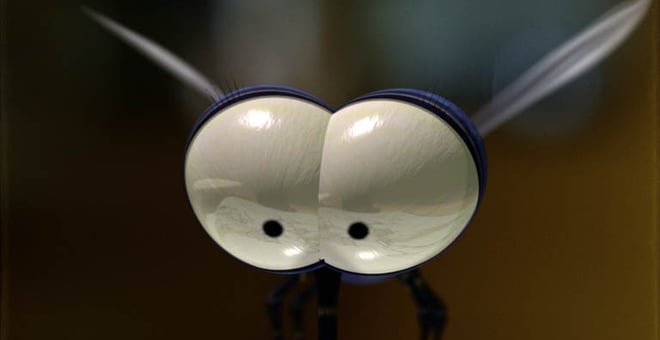 Bsss_06