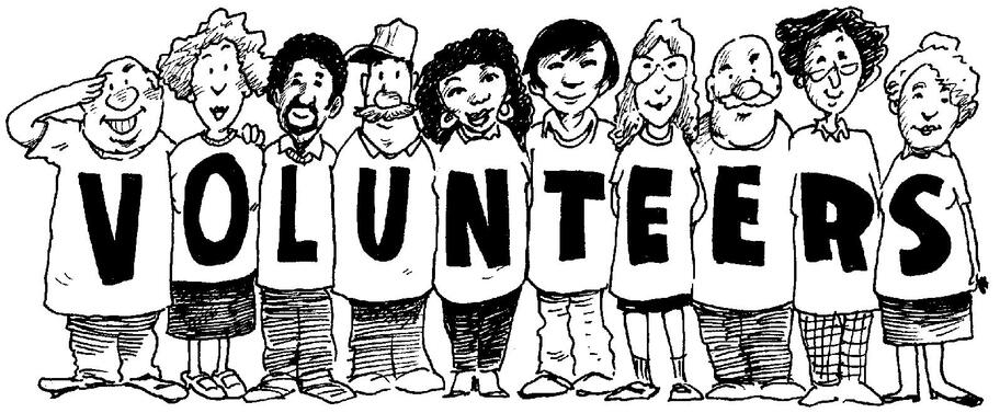 Animafest 2014 call for Volunteers!