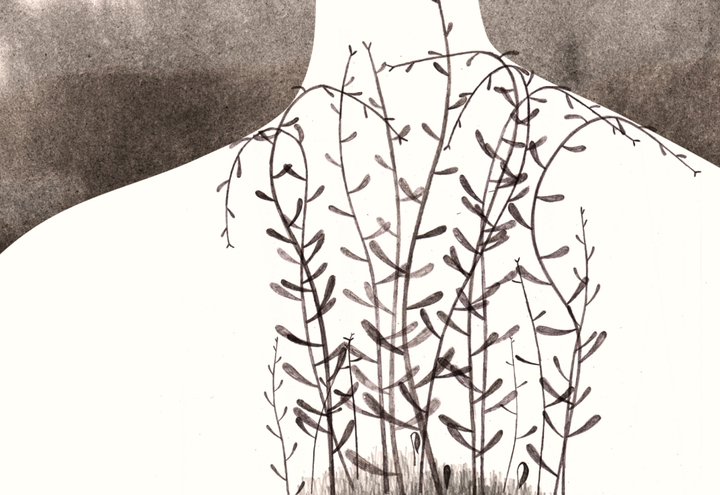 Animafest 2014 will present 40 Croatian films