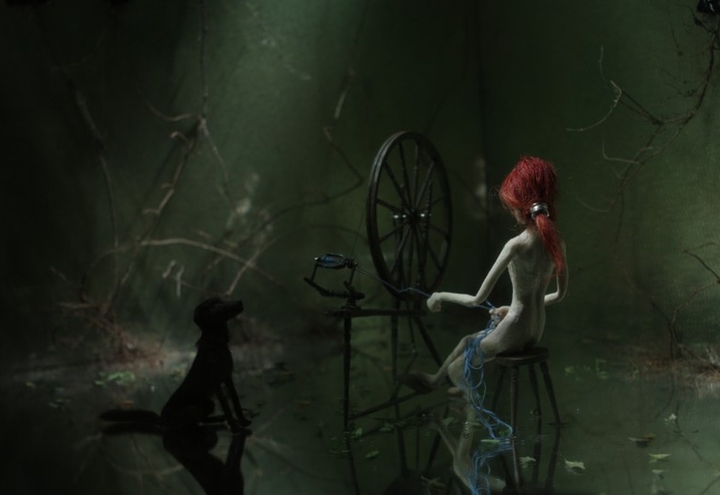 Animation in galleries