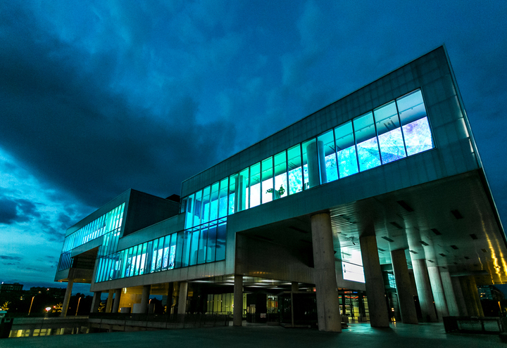 Animation goes MSU! open call is now announced