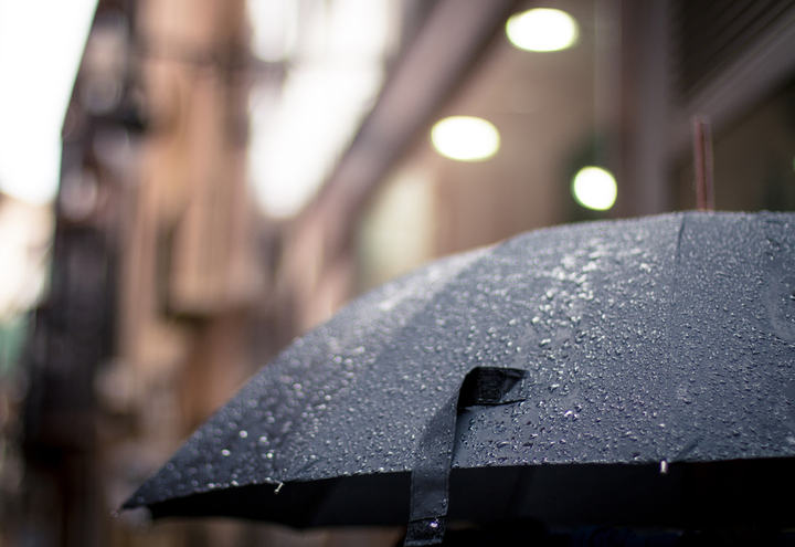 Presentation of Late Night Work Club at the Art Park is cancelled