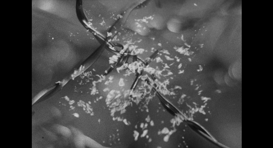 Screening of films by Takashi Makino transferred to Cinema Europe