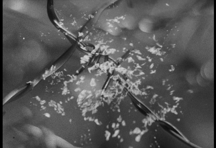 Screening of films by Takashi Makino transferred to Cinema Europe