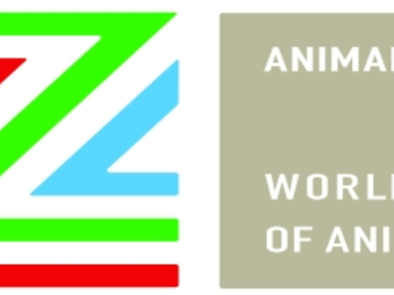 THE WORLD FESTIVAL OF ANIMATED FILM ANNOUNCEMENT