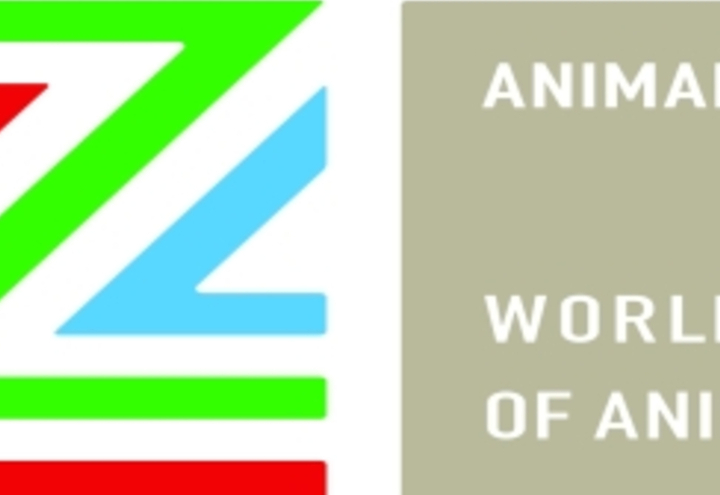 THE WORLD FESTIVAL OF ANIMATED FILM ANNOUNCEMENT