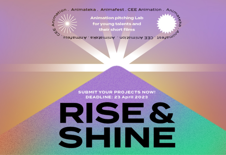 Prijavite se na drugo izdanje radionice za razvoj i pitching projekata Rise & Shine!